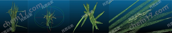 盆栽植物三維數字表型采集分析系統