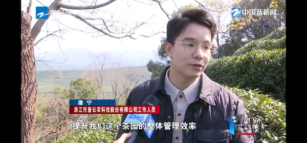 春茶開采正當時！揭秘托普云農如何用科技“制”出一杯數(shù)字好茶