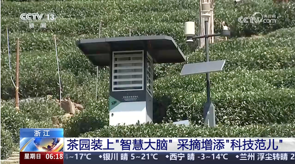 央視、人民網等權威媒體聚焦西湖龍井：托普云農“黑科技”點亮千年茶香智變之路